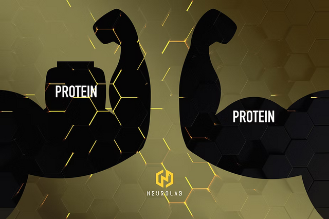 UNlocking muscle protein synthesis