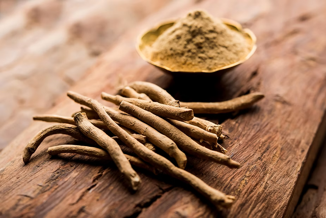 Ashwagandha can optimise your workflow